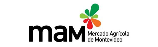 MAM